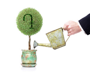 Դրամի ծառ